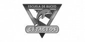 Escuela de buceo Cetaceos